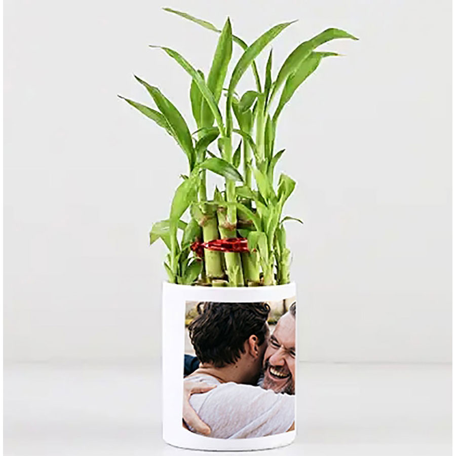 2 Layer Bamboo In Personalized  Dad Mug