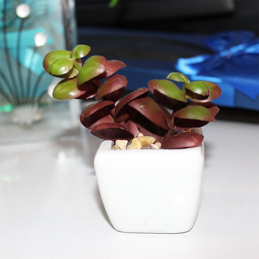 Decoration Artificial Green  Red Flocking Plants For Home Office Mini Bonsai Artificial Plant  (100% Washable Random Plants )