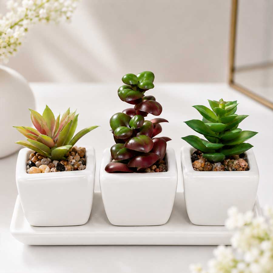  Plants For Home Office Mini Bonsai Artificial Plant  (100% Washable) Pack of 3