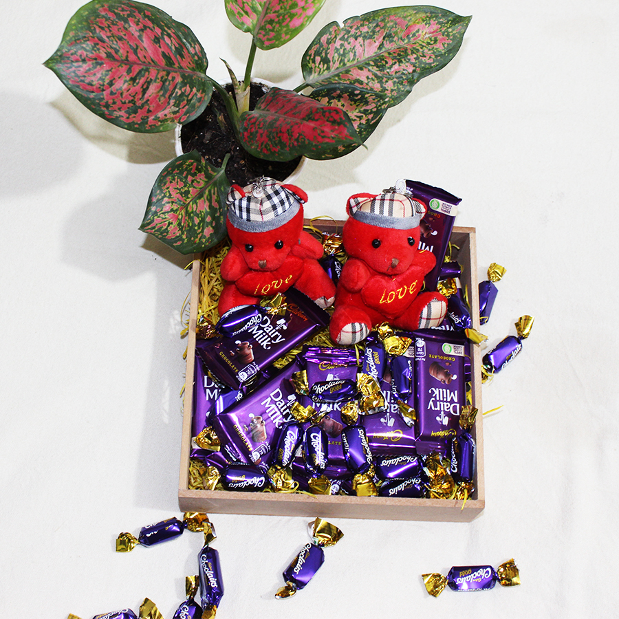 Cuteness of teddy and sweetness of chocolates