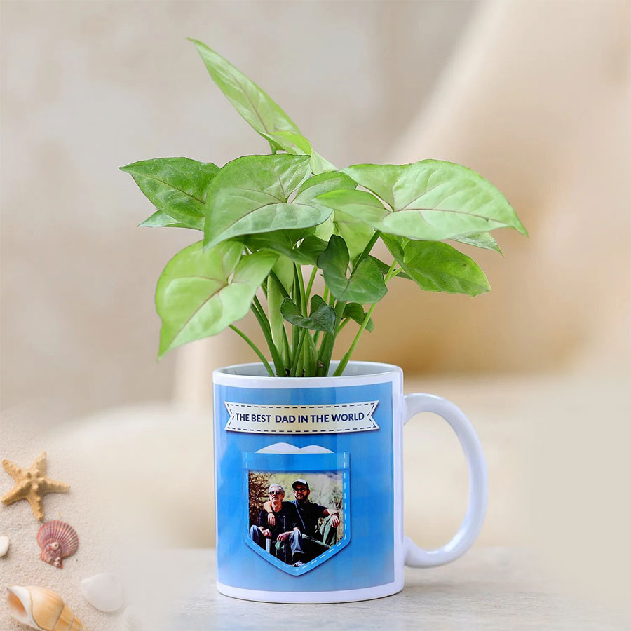 Syngonium plant in personalised mug