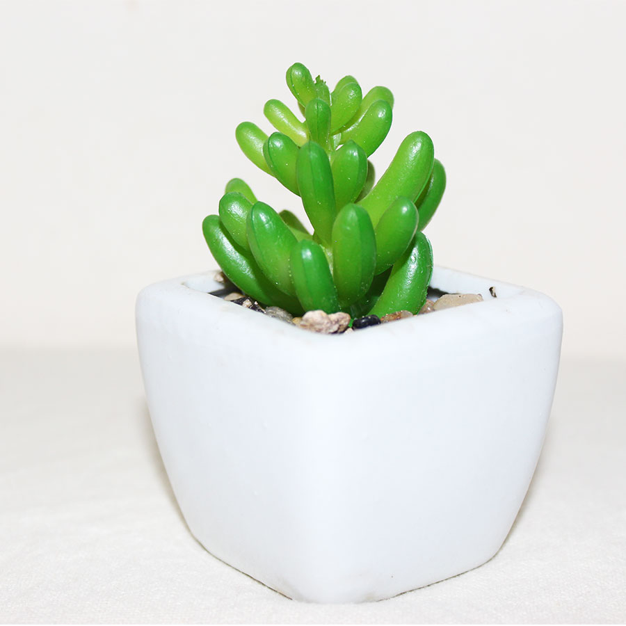  Plants For Home Office Mini Bonsai Artificial Plant  (100% Washable Random Plants)