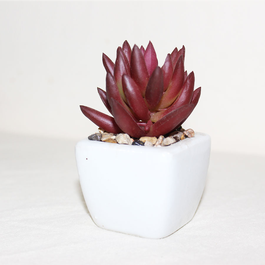 Plants For Home Office Mini Bonsai Artificial Plant  (100% Washable)