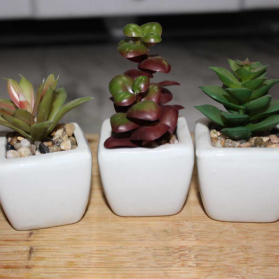  Plants For Home Office Mini Bonsai Artificial Plant  (100% Washable) Pack of 3
