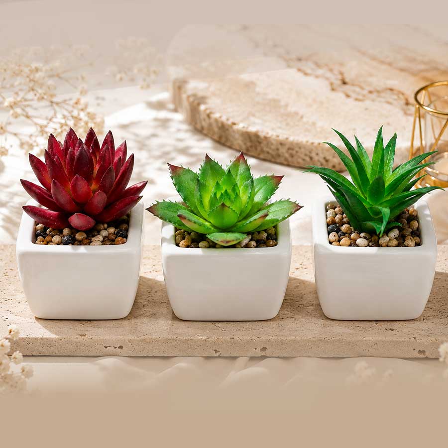  Plants For Home Office Mini Bonsai Artificial Plant  (100% Washable) Pack of 3